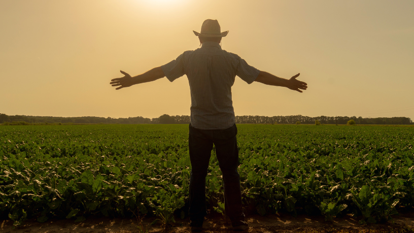 Fortalecer mercados locais gera renda e inclusão no agro, explica Aldo Vendramin.